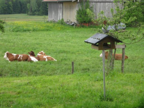 Kalbhof Breitbrunn